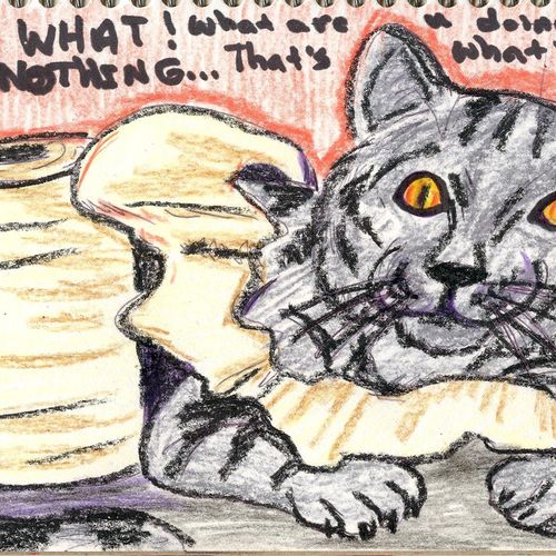 bad kitty