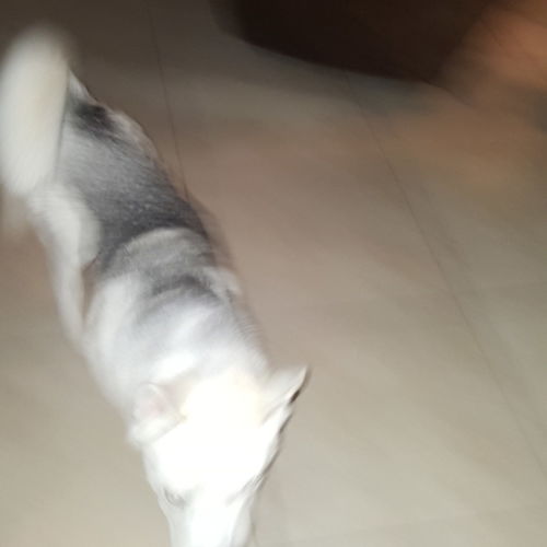 . .