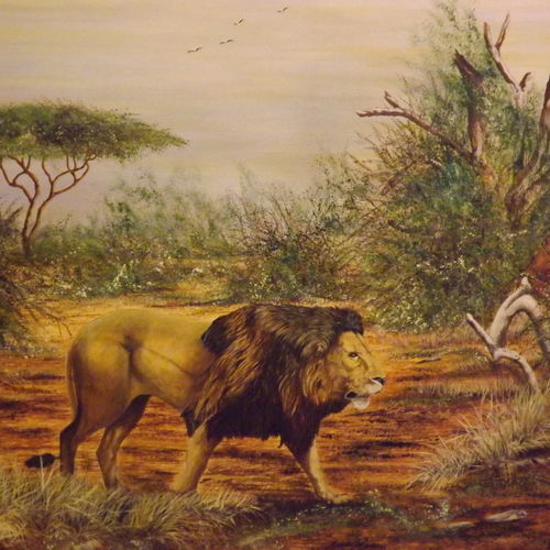 AFRICAN WILDLIFE
