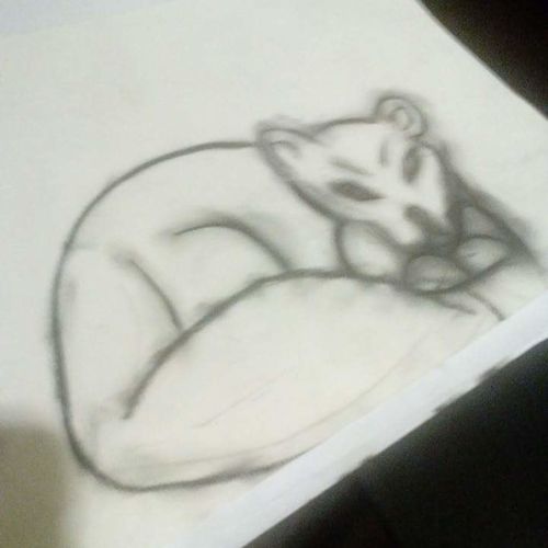 Winter fox