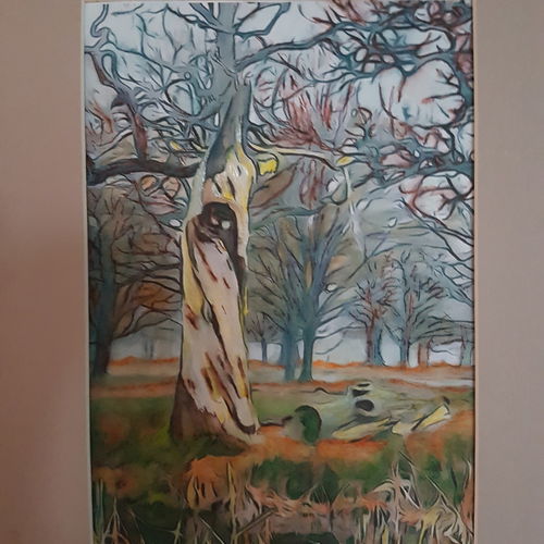 Old wood
