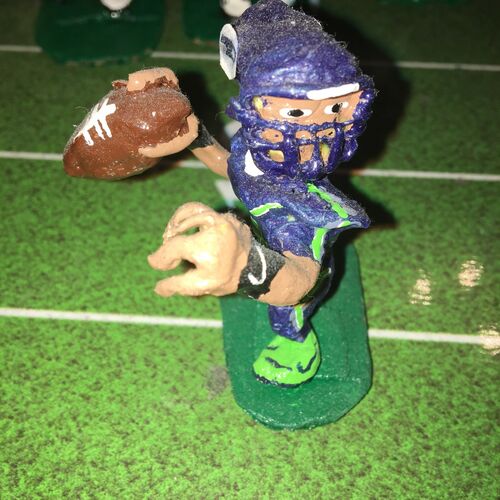 Old School Seahawks 
