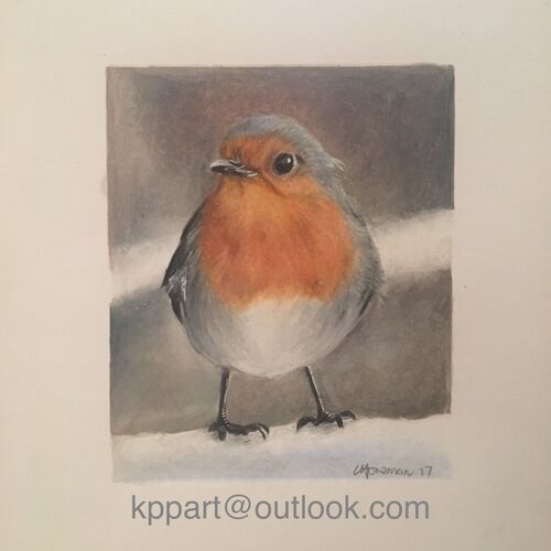 Little Robin red breast 