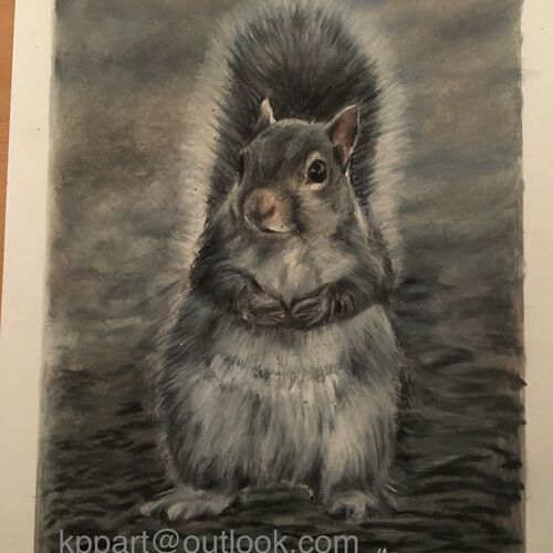 Nonsuch squirrel