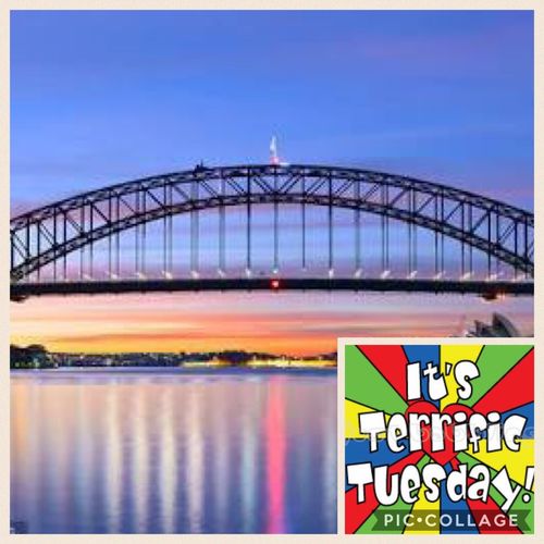 Terrific Tuesday 