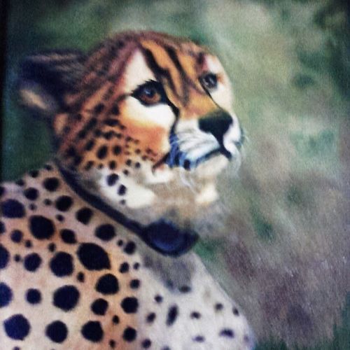 TAMED BEAUTY