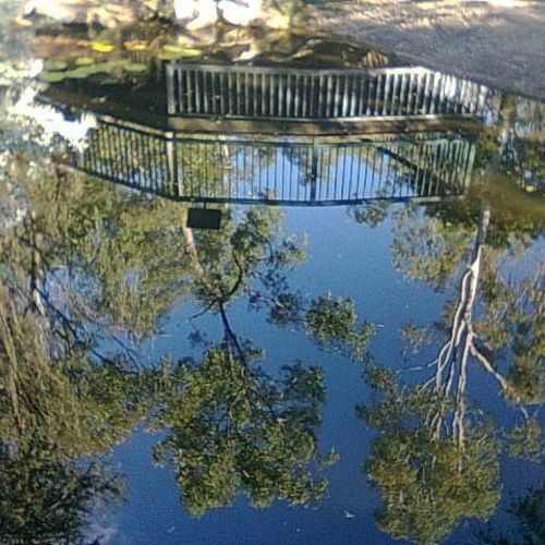 An upside down world