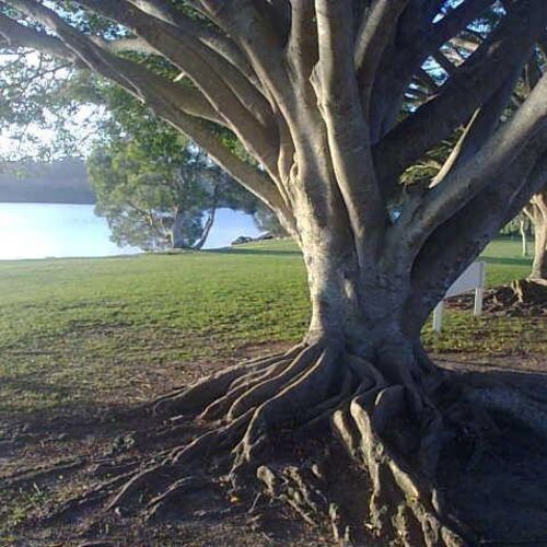 Chinderah NSW