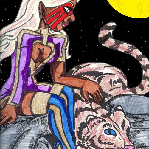 dont mess with this crazy cat lady