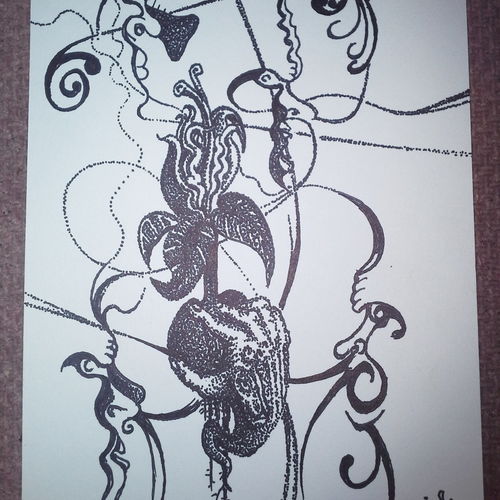 Germination of the font flower! 