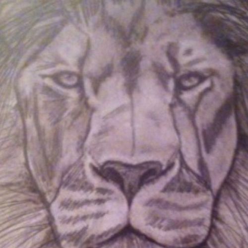 Courage Doesn&#039;t Always Roar