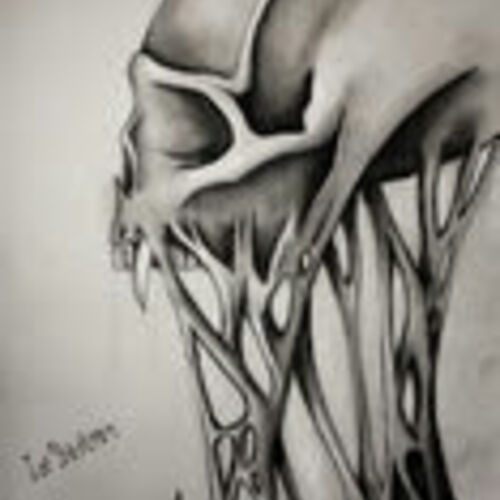 Skull