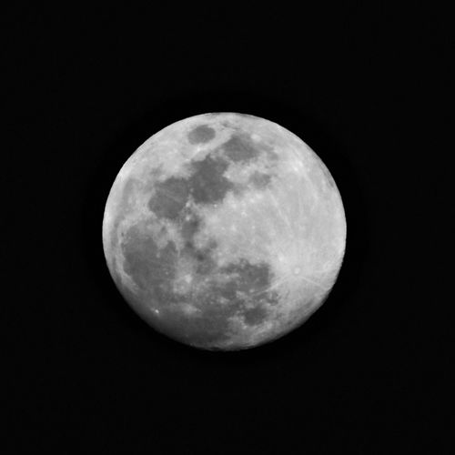 Moon