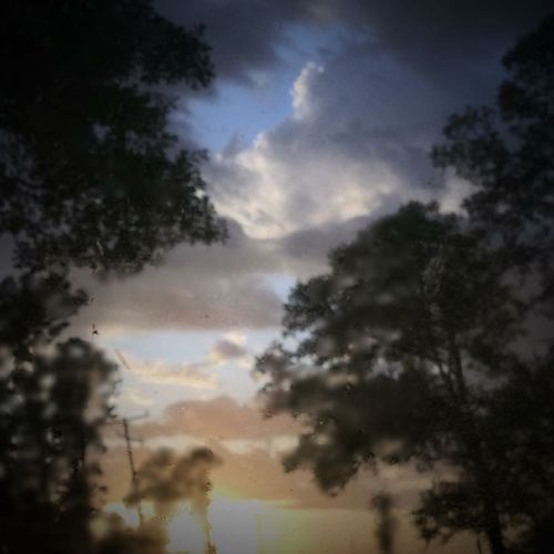 Sunday Sky 