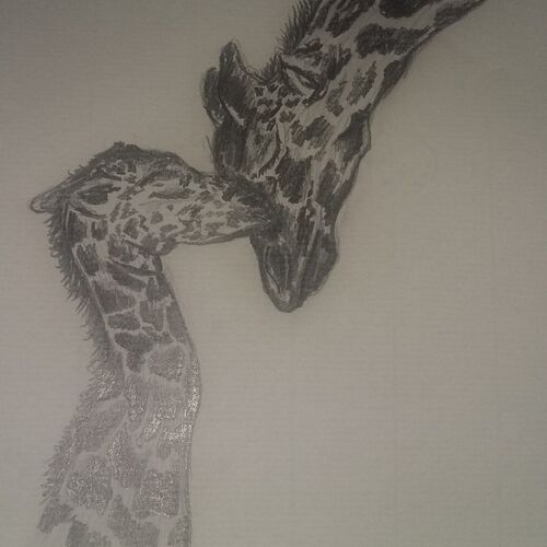 My granddaughters art
