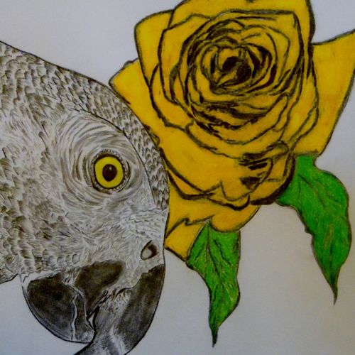 Parrot and his Beautiful Rose