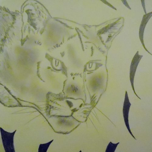 Cougar