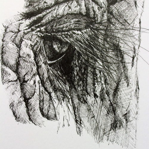 The soul of an elephant 