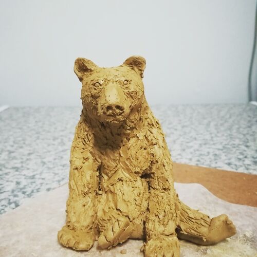 Bear sitting 