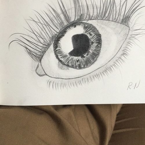 Eye