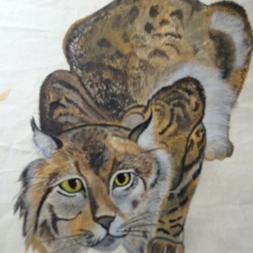 lynx