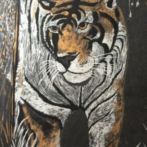 tiger