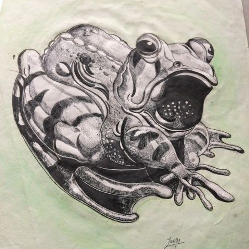 TOAD