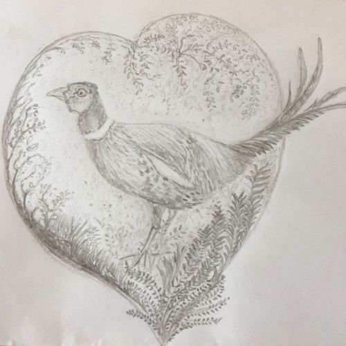 pheasant 