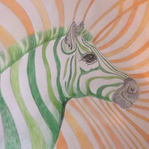 zebra