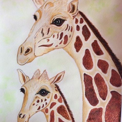 girraffe mom and baby