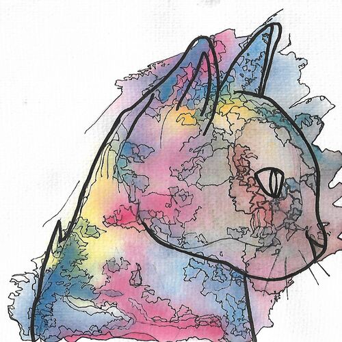 Watercolour Cat