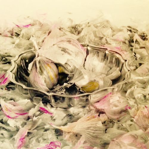 Pink Petals