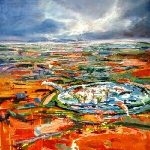 Water lilies in Central Australia