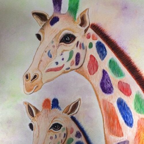 colourfull giraffe 