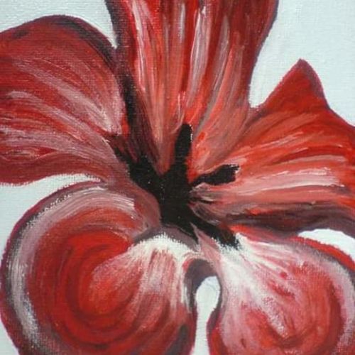 Red Flower