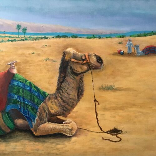 CAMEL COUNTRY A WORK IN PROGRESS ALMOST DONE