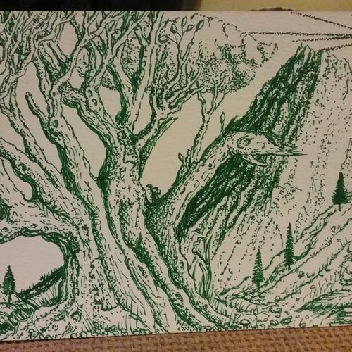 Scene