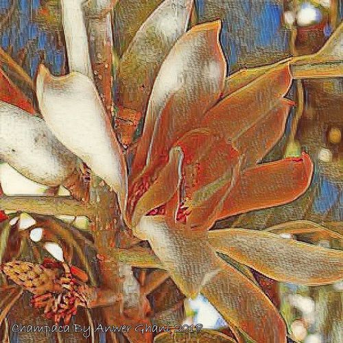 Indian Fragrance