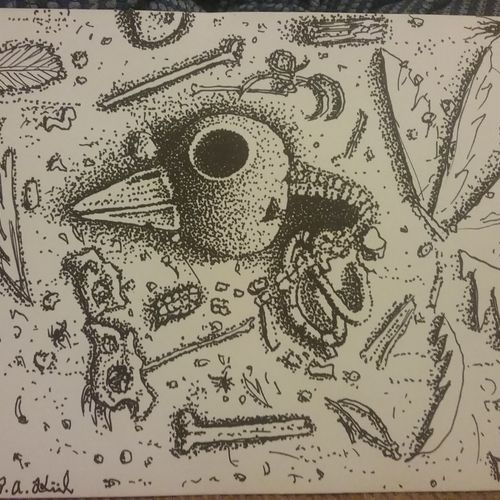 Fossil 