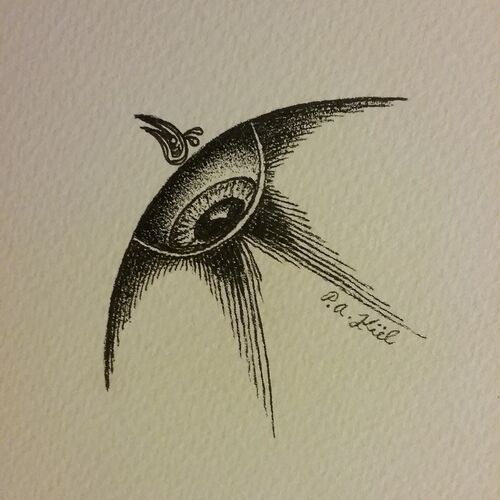 Gaze Bird 