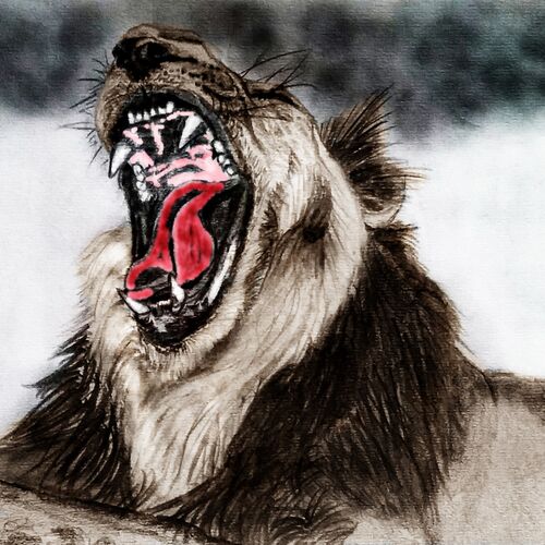 Lazy Lion