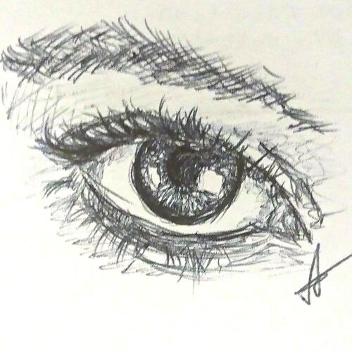 Eye