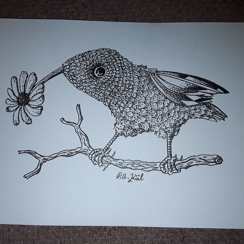 Daisy Bird 