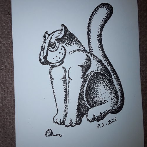 Cat