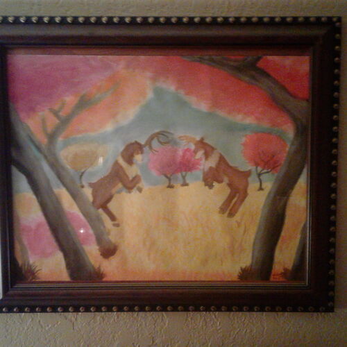       &quot; Bucks fighting for territories &quot;