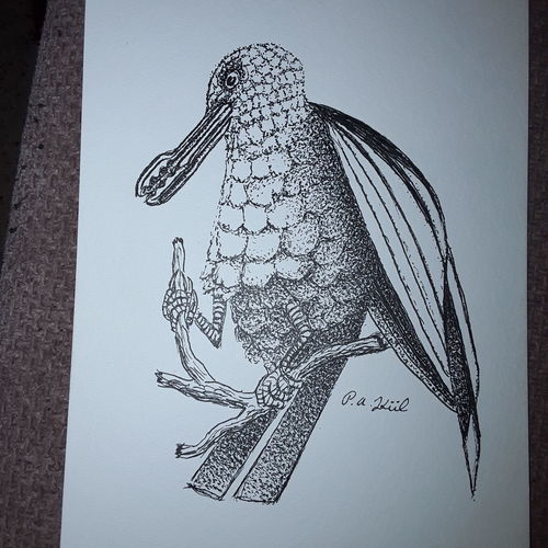 Tong beak