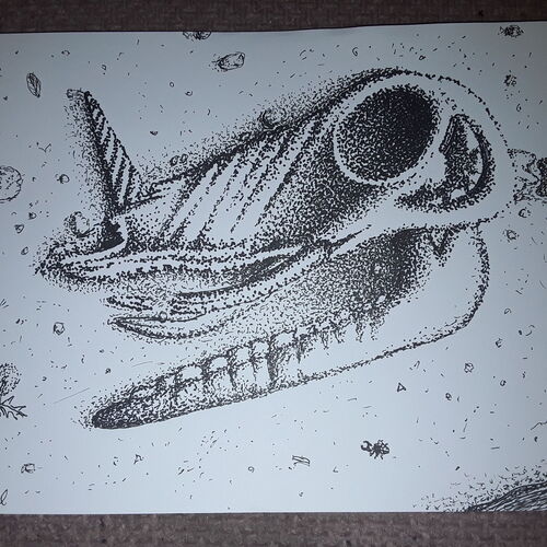 Another fossil