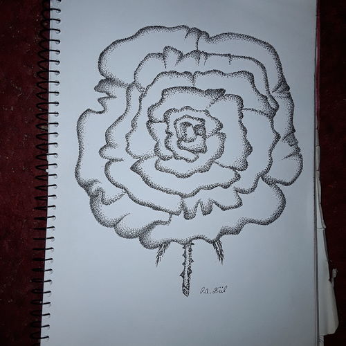 Big rose