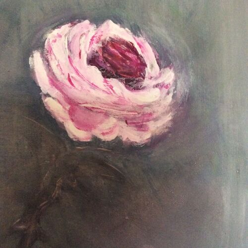Sweet rose