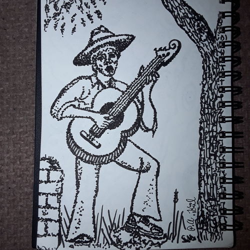 Folk singer 